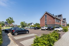 31- Gulderling 17 Andel.jpg