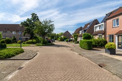3. Lijster 24 Sprang-Capelle.jpg
