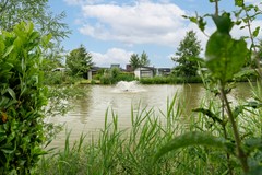 8. Zaaiwaard 3-121 Aalst.jpg