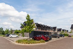 30- Boerengroen 50 Andel.jpg