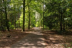 Nieuw in verkoop:Marie Koenenlaan 81, 5044 NE Tilburg - Foto