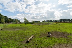 Verkocht onder voorbehoud:Vaartweg 202, 5106 NG Dongen - Foto