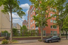 4-HPB_0273b.jpg