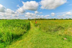 F- Hoogeweg 25 - Ossenzijl - 73.jpg