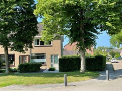 IMG_3175.JPEG