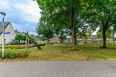 F - 25927 - Het Plankenpad 30 - Swifterbant- 46.jpg