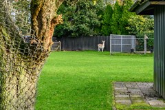 F - 25961 - Hoofdstraat 140 - Oldemarkt - 69.jpg