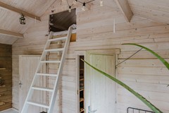 F - 261240 - Voetpad 66 - Scherpenzeel- 53.jpg