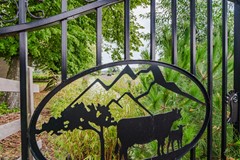F - 261240 - Voetpad 66 - Scherpenzeel- 87.jpg