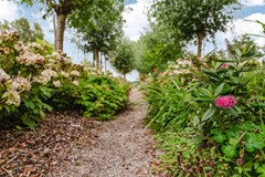 F - 261240 - Voetpad 66 - Scherpenzeel- 91.jpg