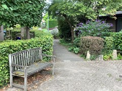 IMG_0228.jpg