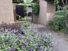 IMG_0232.jpg