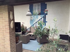 IMG_0236.jpg