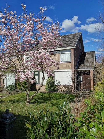 Hertogshoef 242, 4941KK Raamsdonksveer