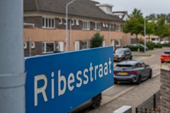 Ribesstraat 10 Lisserbroek_PTS15_2024.jpg