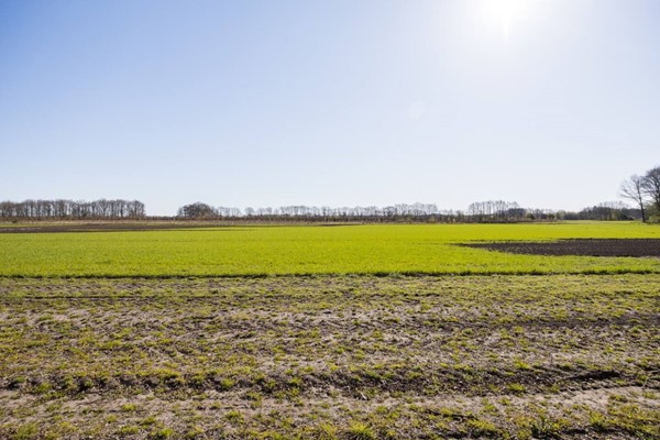 Medium property photo - Het Zwiggelterveld 41, 9433 VA Zwiggelte