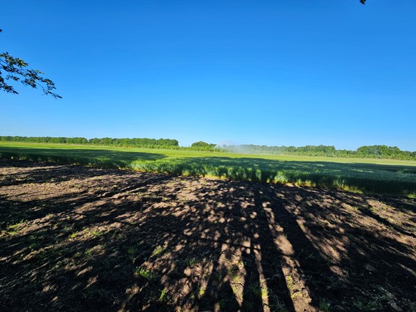 Medium property photo - Het Zwiggelterveld 41, 9433 VA Zwiggelte
