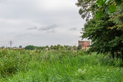 Frankenhorst 33 Sassenheim_PTS2025_35.jpg