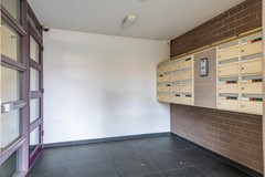 Van Meerbeekstraat 80 Hillegom_PTS2025_04.jpg