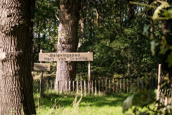 Medium property photo - Het Zwiggelterveld 149, 9433 VD Zwiggelte
