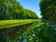 HvD Oranjekanaal rechts.png