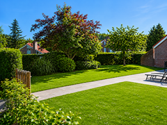 Het Zwiggelterveld 140 tuin met nieuw terras.png