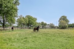 Houtwal369363XAMarumNL-58.jpg