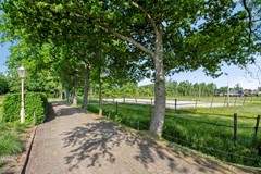 Houtwal369363XAMarumNL-05.jpg