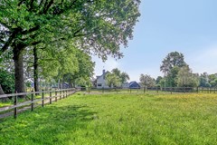 Houtwal369363XAMarumNL-02.jpg