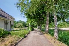 Houtwal369363XAMarumNL-04.jpg