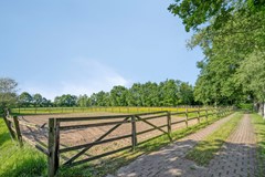 Houtwal369363XAMarumNL-07.jpg