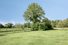 Houtwal369363XAMarumNL-47.jpg