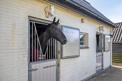 Houtwal369363XAMarumNL-54.jpg