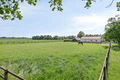 Houtwal369363XAMarumNL-62.jpg