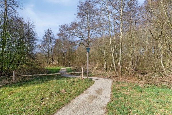 Medium property photo - Dwazziewegen 20, 9301 ZR Roden