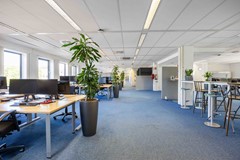Lauwers-28.jpg