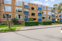 Hora siccamasingel-3.jpg