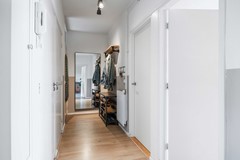 Hora siccamasingel-10.jpg