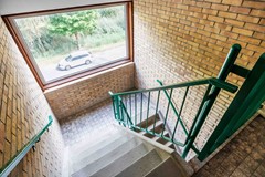 Hora siccamasingel-8.jpg