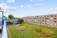 Hora siccamasingel-19.jpg