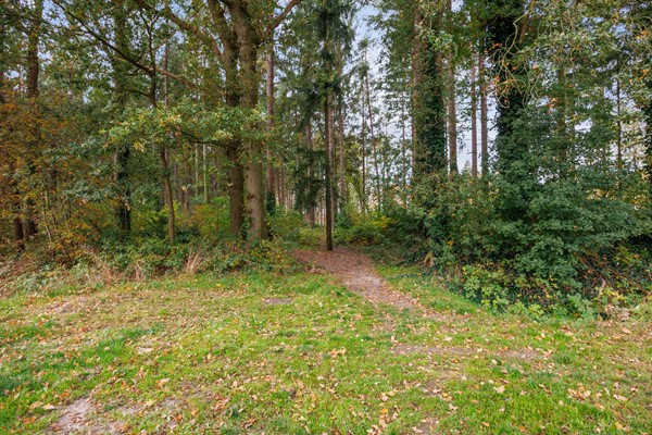 Medium property photo - Entinge 32, 9331 LK Norg