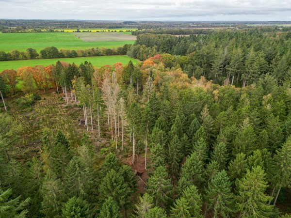 Medium property photo - Entinge 32, 9331 LK Norg