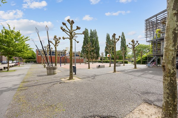 Medium property photo - Adriaan van Ostadestraat 5, 9718 RR Groningen