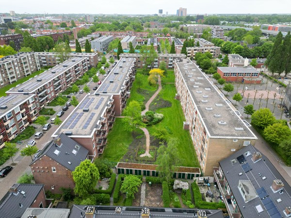 Medium property photo - Adriaan van Ostadestraat 5, 9718 RR Groningen