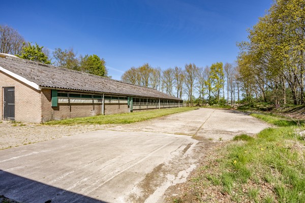 Medium property photo - Hoofdweg-Boven 53, 8433 LC Haulerwijk