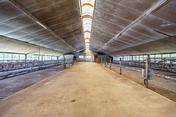 Medium property photo - Hoofdweg-Boven 53, 8433 LC Haulerwijk