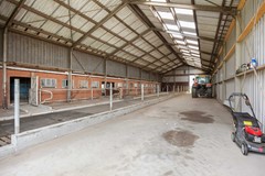 Grijpskerk_-51.jpg