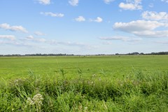 Grijpskerk_-69.jpg