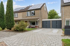 Groene Zoom-11.jpg