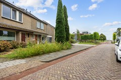 Groene Zoom-15.jpg